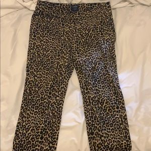 J Crew size 4 Winnie Pant in leopard print